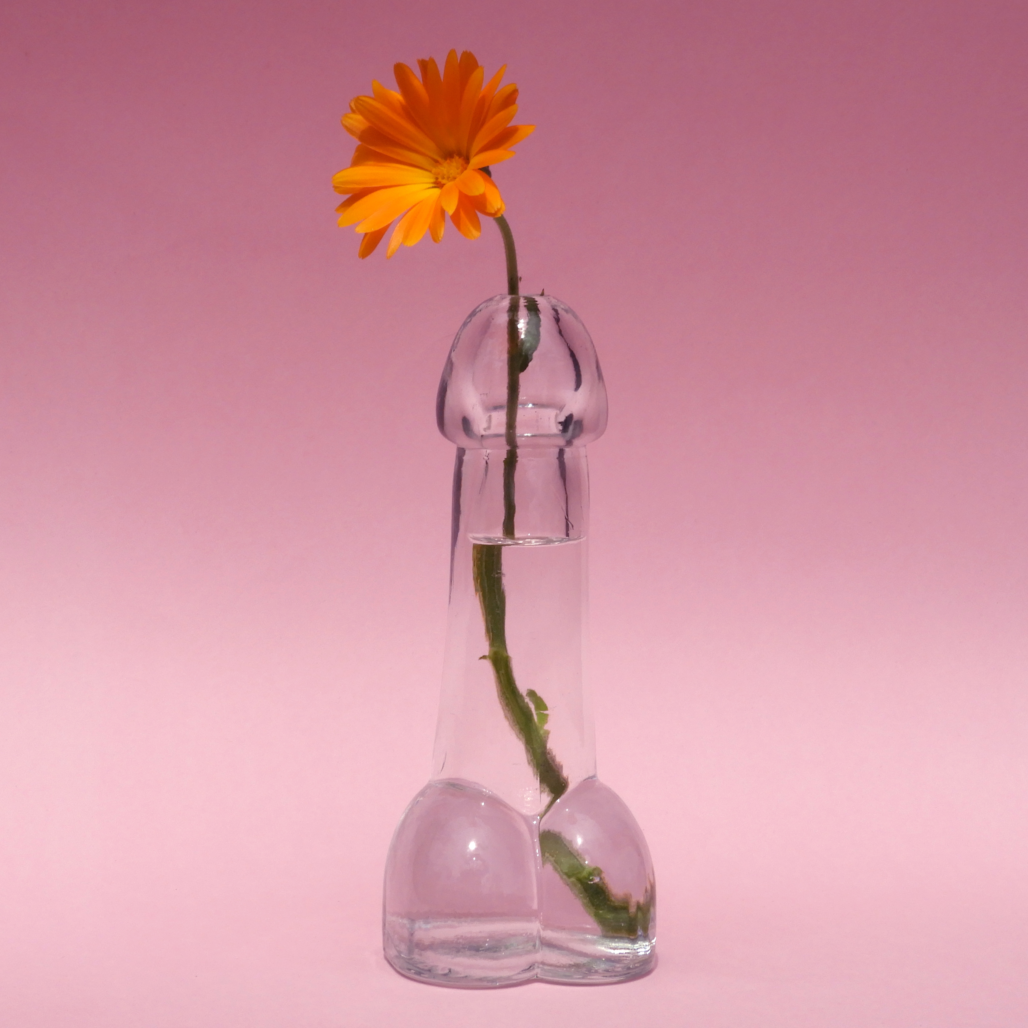 Glass Penis Vase